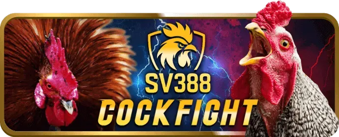 Cập nhật nền tảng 6bet